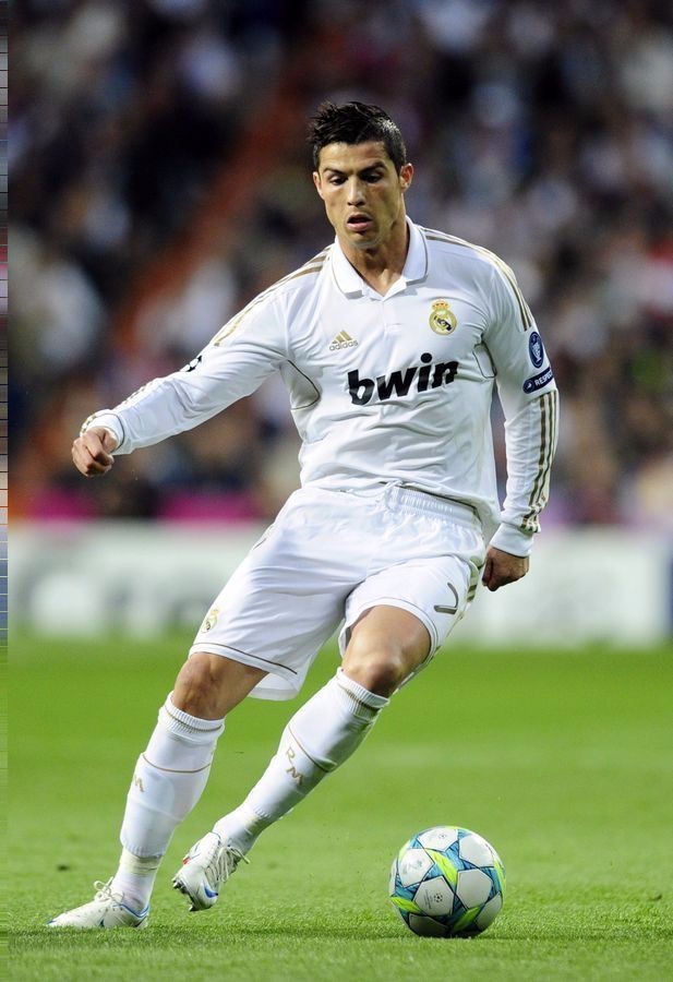 吸引了众多 吸引了众多