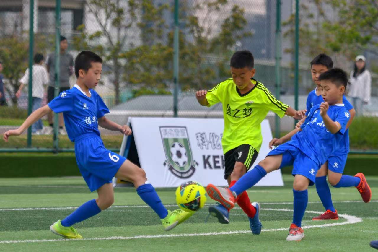 业内人士普 业内人士普